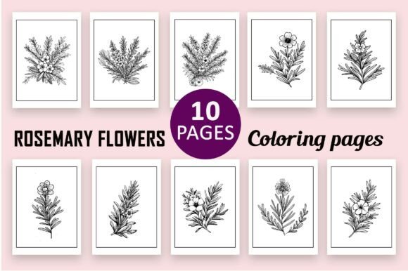 Rosemary Flower Coloring Pages: Premium Graphics for Publishers