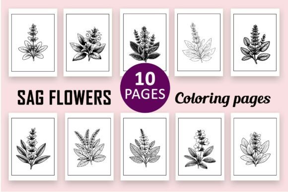 Sag Flower Coloring Pages Graphics for Kids